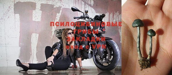 мдпв Медвежьегорск