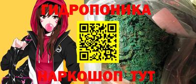 индика Будённовск