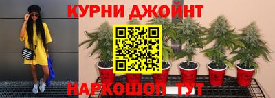 индика Будённовск
