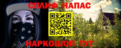 индика Будённовск