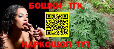индика Будённовск