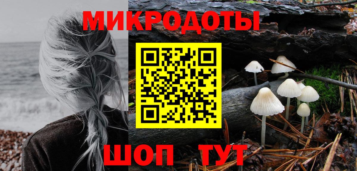 Псилоцибиновые грибы Psilocybe Железногорск