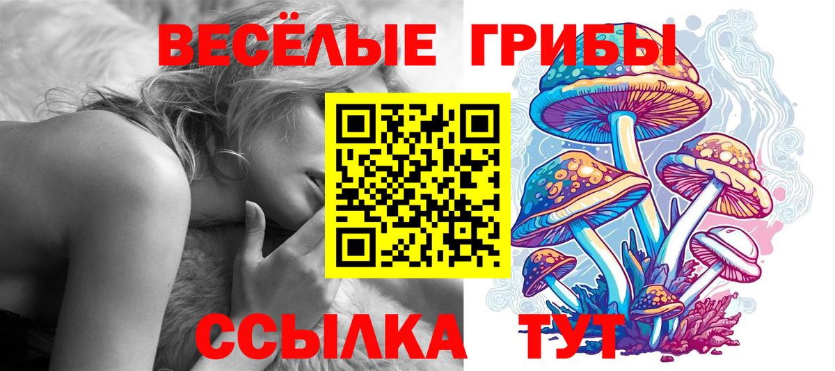 Железногорск  Псилоцибиновые грибы GOLDEN TEACHER  Вход с VPN 