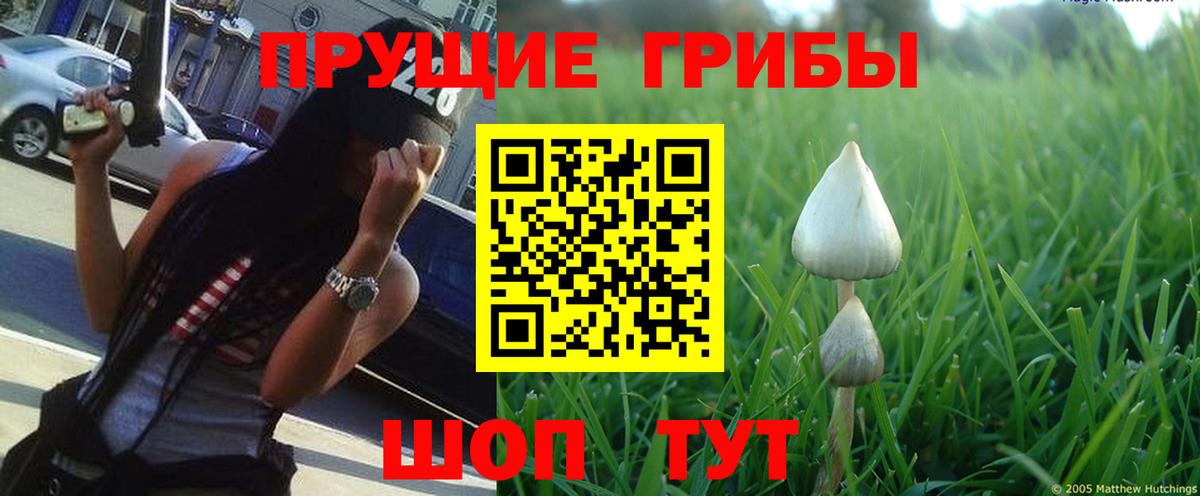 Галлюциногенные грибы прущие грибы  Железногорск 